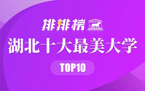 湖北十大最美大学