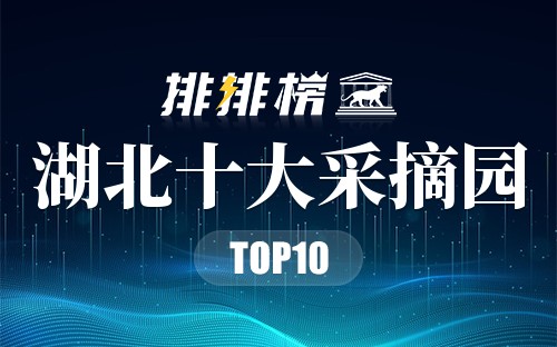 湖北十大采摘园