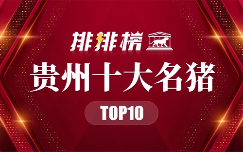 贵州十大名猪