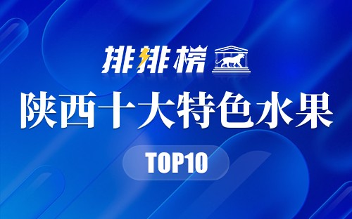 陕西十大特色水果