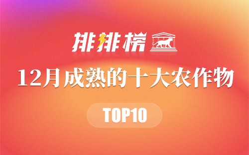 12月成熟的十大农作物