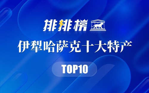 伊犁哈萨克十大特产