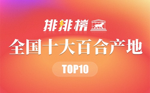 全国十大百合产地