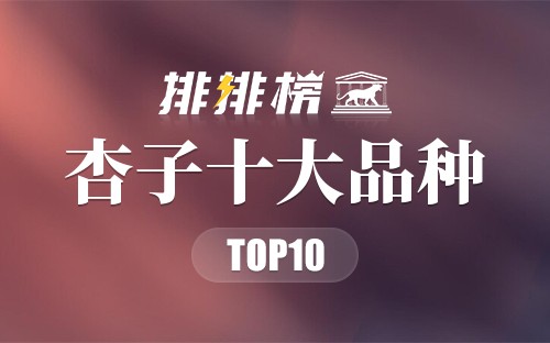 杏子十大品种