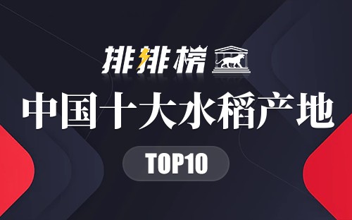 中国十大水稻产地