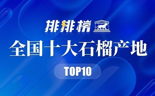全国十大石榴产地