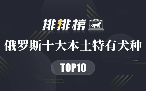 俄罗斯十大本土特有犬种