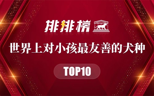 世界上对小孩最友善的十大犬种