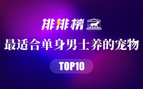 最适合单身男士养的宠物