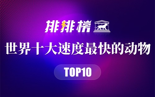世界十大速度最快的动物