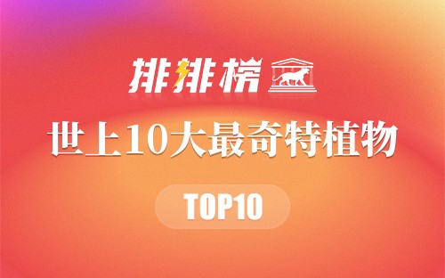 世上10大最奇特植物