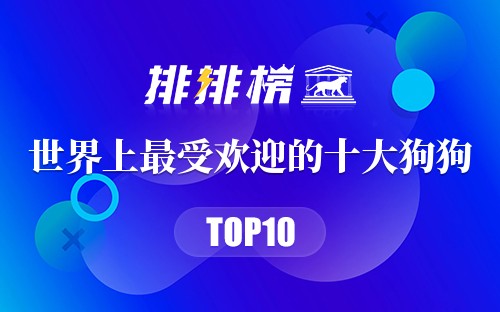 世界上最受欢迎的十大狗狗
