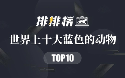 世界上十大蓝色的动物
