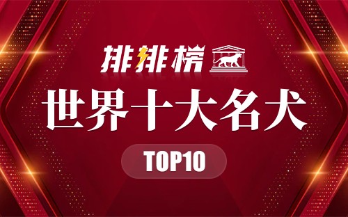 世界十大名犬