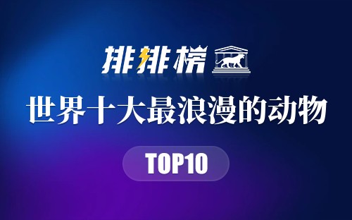 世界十大最浪漫的动物