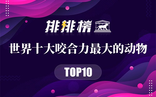 世界十大咬合力最大的动物