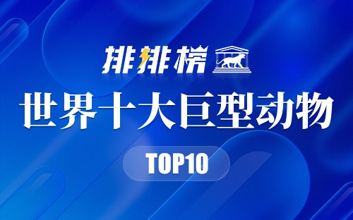 世界十大巨型动物