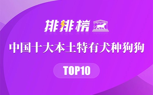 中国十大本土特有犬种狗狗