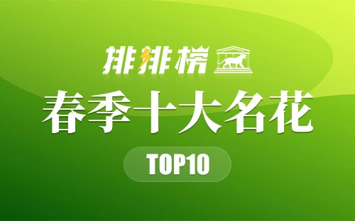 春季十大名花
