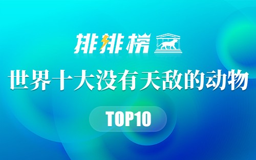 世界十大没有天敌的动物