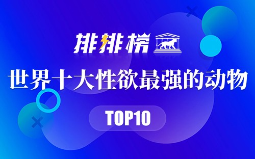 世界十大性欲最强的动物
