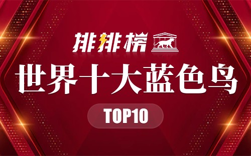 世界十大蓝色鸟