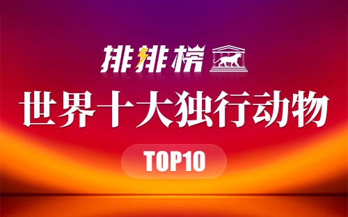 世界十大独行动物