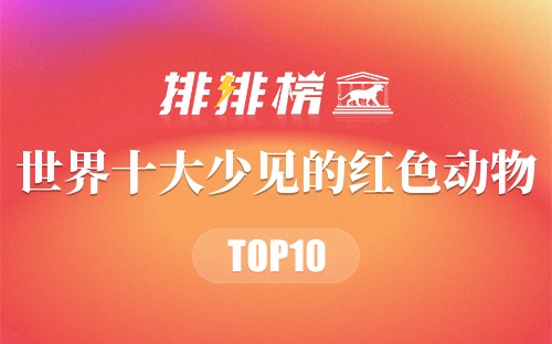 世界十大少见的红色动物