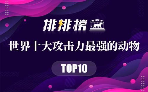 世界十大攻击力最强的动物