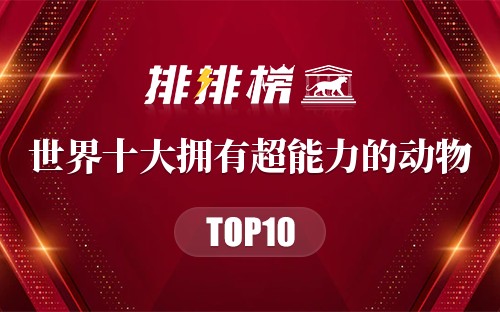 世界十大拥有超能力的动物