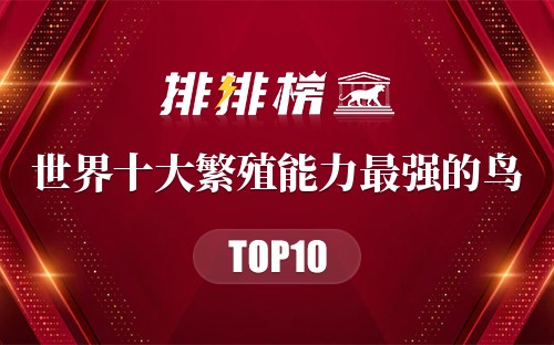 世界十大繁殖能力最强的鸟