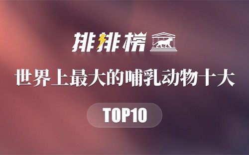 世界上最大的哺乳动物十大