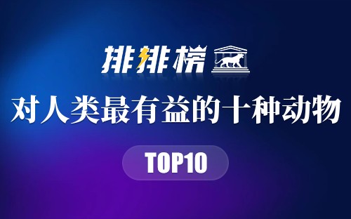 对人类最有益的十种动物