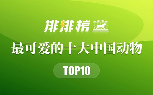 最可爱的十大中国动物