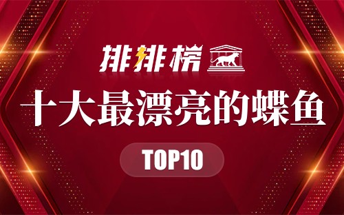十大最漂亮的蝶鱼