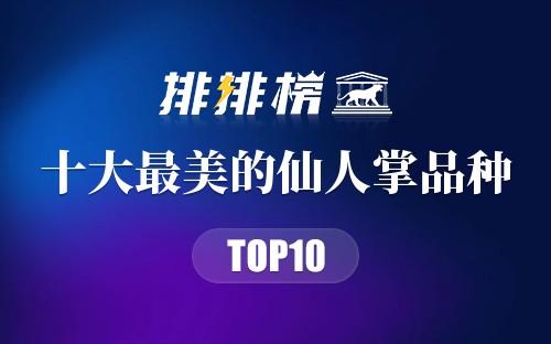 十大最美的仙人掌品种