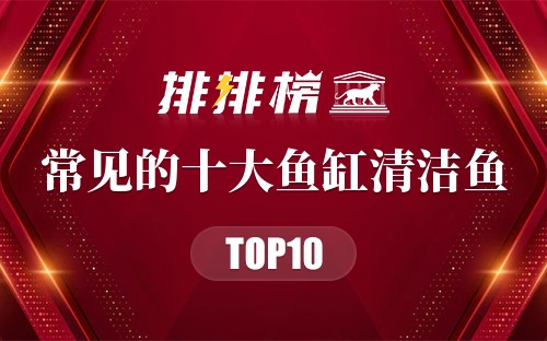 常见的十大鱼缸清洁鱼