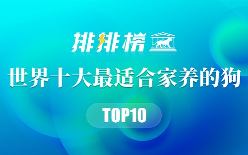 世界十大最适合家养的狗