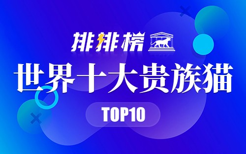 世界十大贵族猫