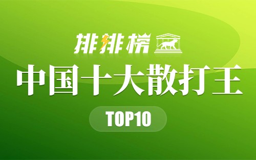 中国十大散打王