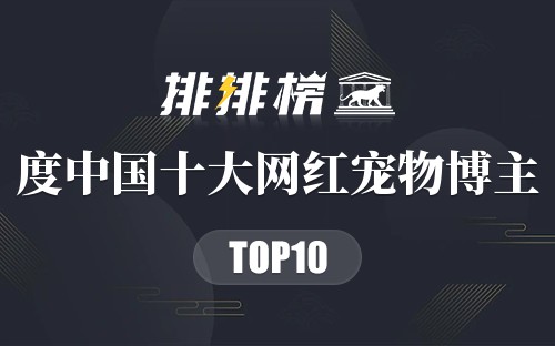 2019年度中国十大网红宠物博主