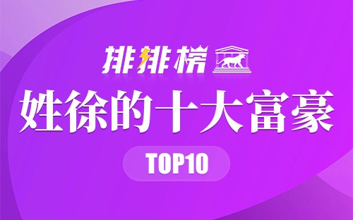 姓徐的十大富豪