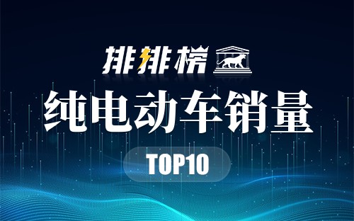 2022纯电动车销量排行榜