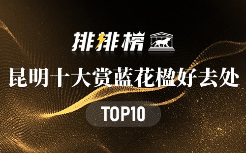 昆明十大赏蓝花楹好去处