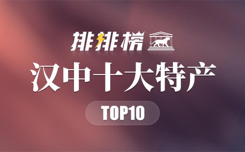 汉中十大特产