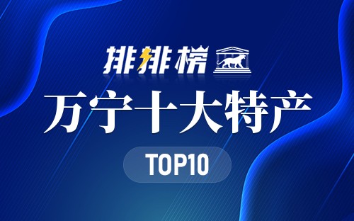万宁十大特产